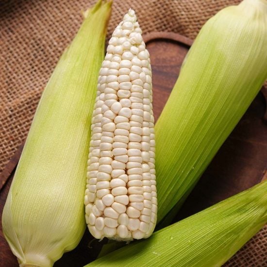 Bắp Nếp Dẻo Trắng [ JUIJIA - Thái Lan ]