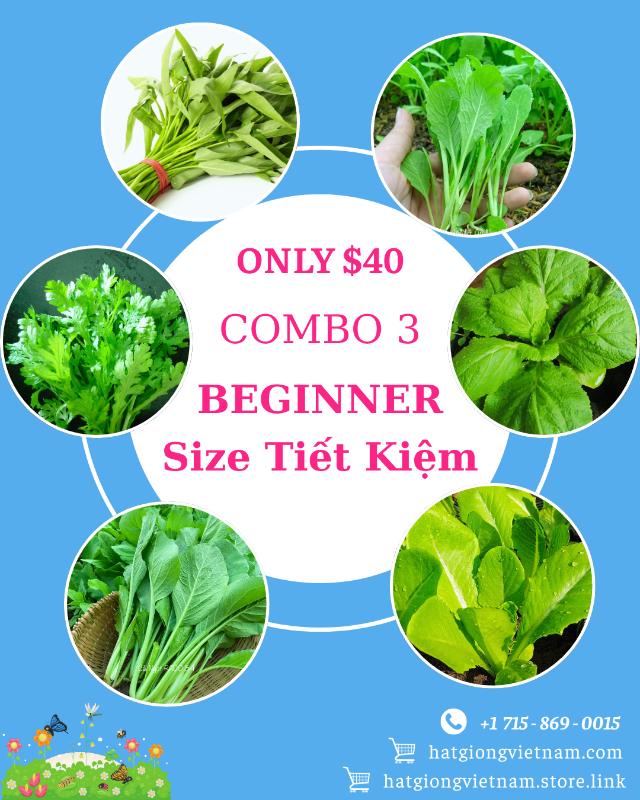 Combo 3 [ 𝐒𝐈𝐙𝐄 𝐅𝐀𝐑𝐌, 𝐁𝐄𝐆𝐈𝐍𝐍𝐄𝐑 ] – Size tiết kiệm.