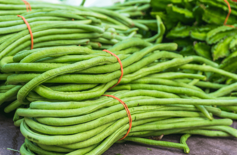 Đậu Đũa Xanh - Mix Chiang Bean [ JUIJIA - Thái Lan ]