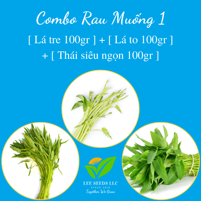 COMBO RAU MUỐNG 1