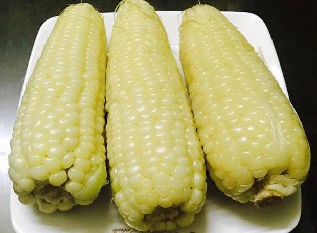 Bắp Nếp Dẻo Trắng [ JUIJIA - Thái Lan ]