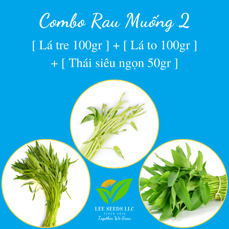 COMBO RAU MUỐNG 2