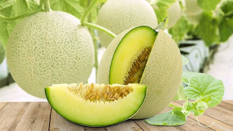 Dưa Lưới Ruột Xanh [ JUIJIA - Thái Lan ]