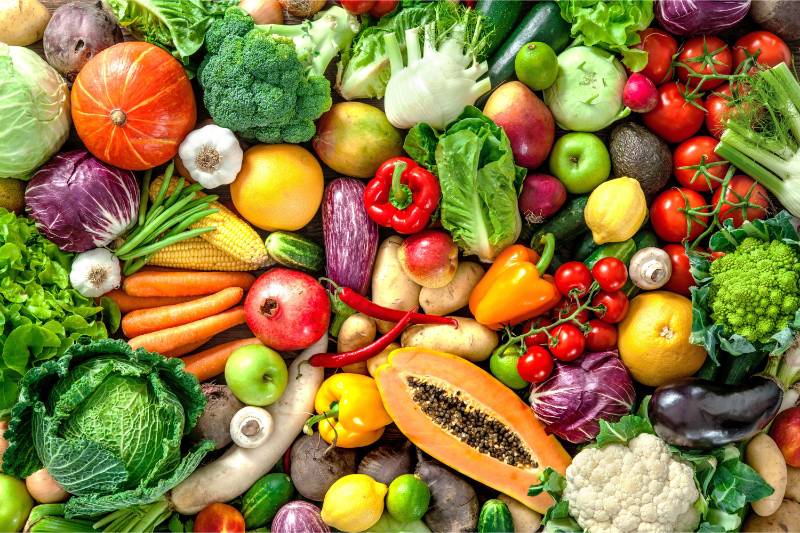 Vegetarian Food Intolerance Test