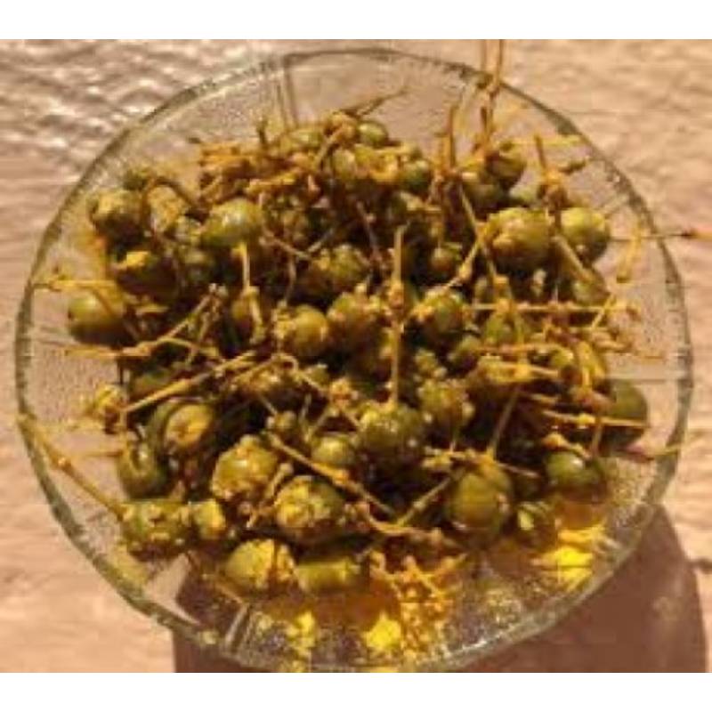 Kairda Pickle