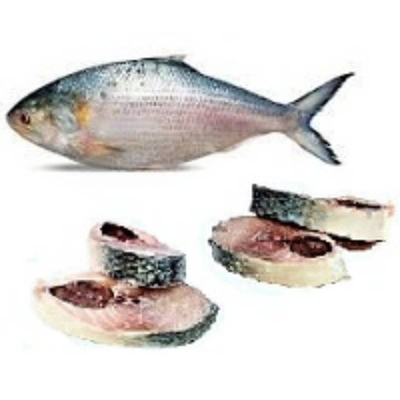 Hilsa Fish Curry cut 500.g