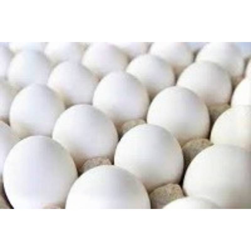 Fresh Farm Eggs - Regular 12Pcs.