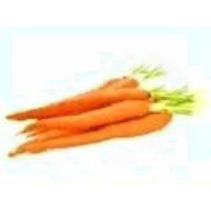 Carrot