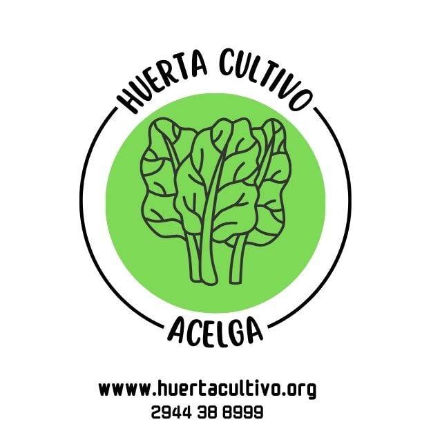 Acelga