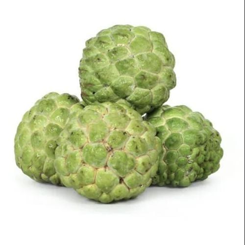 Custard Apple 🍎