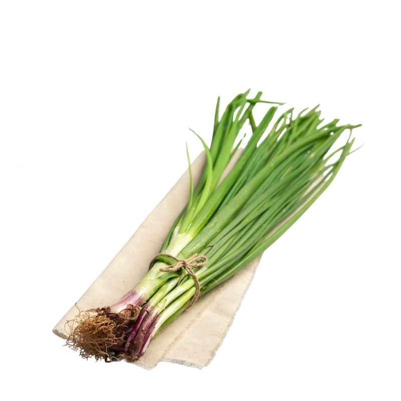 Spring Onion 🧅