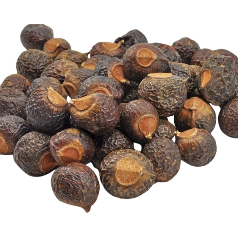 Jivan Organics Soap Nut 100G