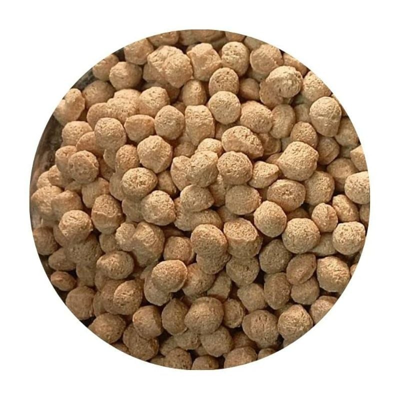 Jivan Organics Soya Chunks 250G