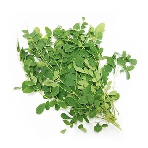 Drumstick Leaves 🌿