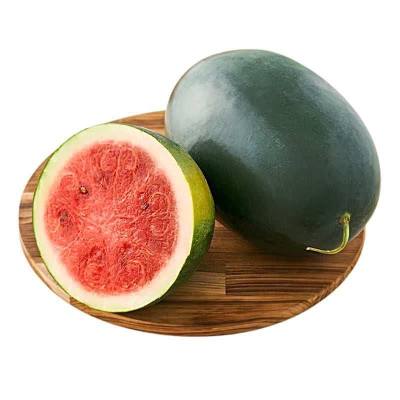 Watermelon - Kiran 🍉
