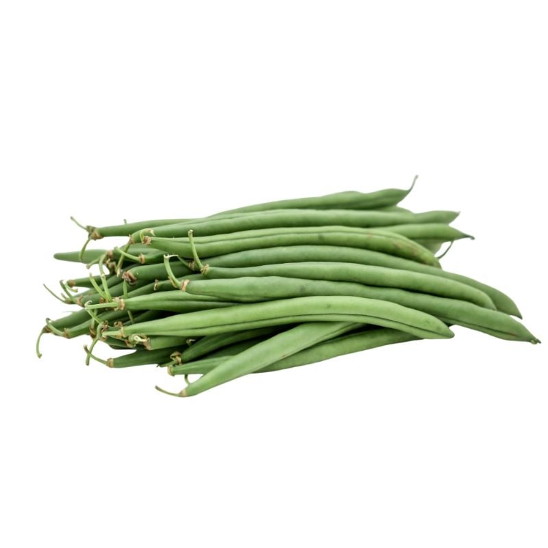 🫛Beans - Ring / Haricot
