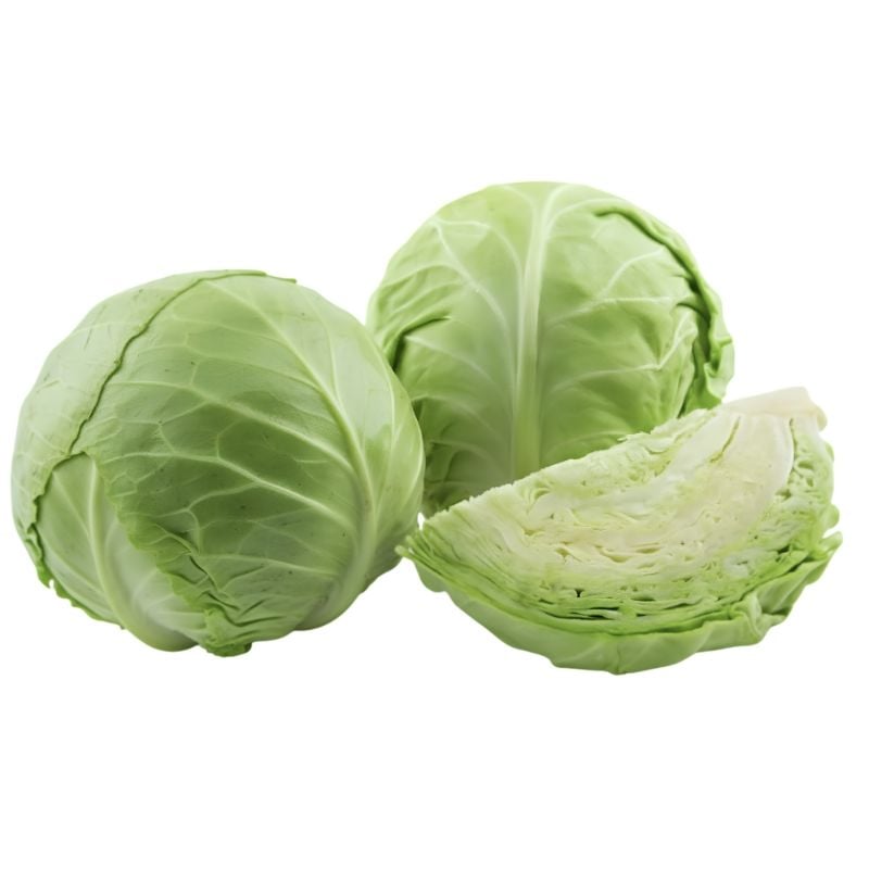 🥬Cabbage - Green