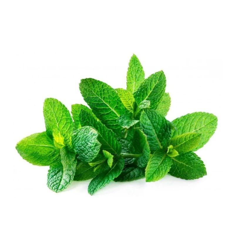 Mint Leaves 🍃