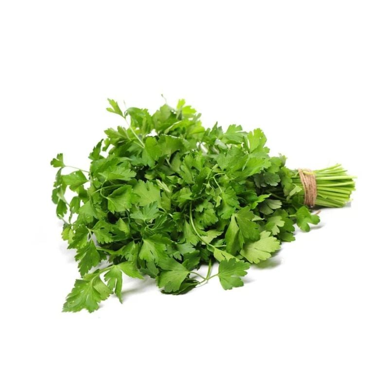 Coriander Nati Leaves 🌿 (✨ Fragrant Local Nati Variety)