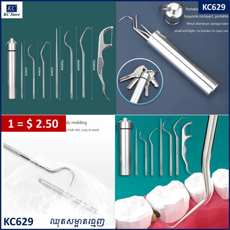 KC629 ឈុតសម្អាតធ្មេញ - Stainless Steel Toothpick Set