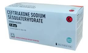 CEFTRIAXONE SODIUM 1GR INJ @10 VL (PEHA)