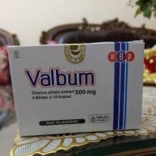 VALBUM 500MG CAP@60