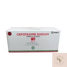 CEFOTAXIME SODIUM 1GR INJ @10 VL (PEHA)