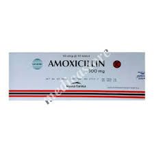 AMOXICILLIN 500 MG (DUS 100 TAB)