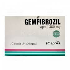 GEMFIBROZIL 300MG CAP@100 GPH (PEHA)