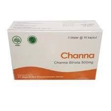 CHANNA STRIATA 500 MG @ 30 KPS