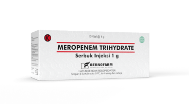 MEROPENEM INJ 1 GRAM (BERNO)