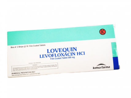 LOVEQUIN 500 MG (DUS 100 TAB)-BJN