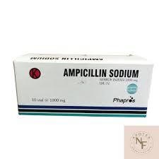 AMPICILLIN 1GR INJ GPH (PEHA)