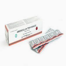 AMOXICILLIN TRIHYD 500MG KPL@100 (NOVA)