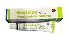 GENTALEX CR 5GR MOL