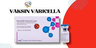 VAKSIN VARICELLA (BF)