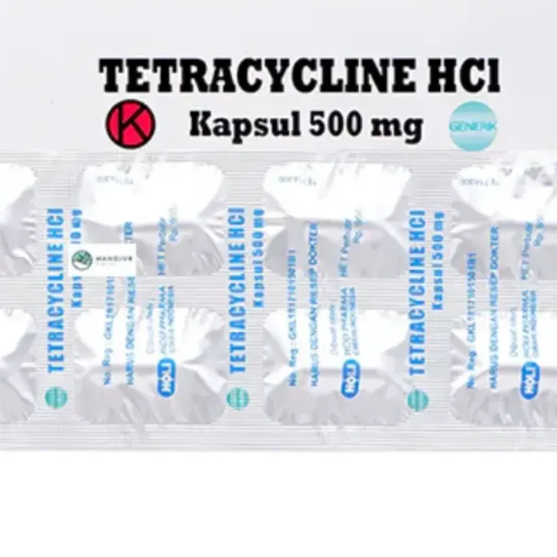 TETRACYCLINE HCI 500MG @100 KPS HOLI