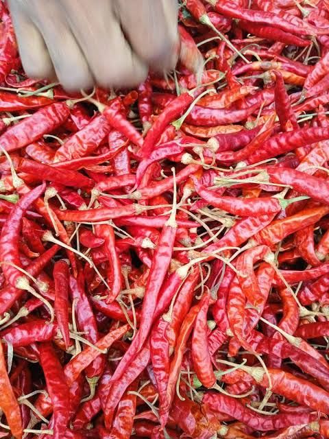 বেশি শুকনো মরিচ গোটা (গুড়া নয়) ১কেজি