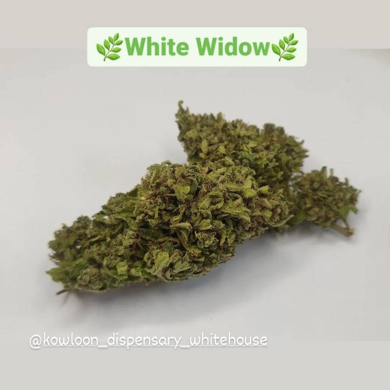 White Widow