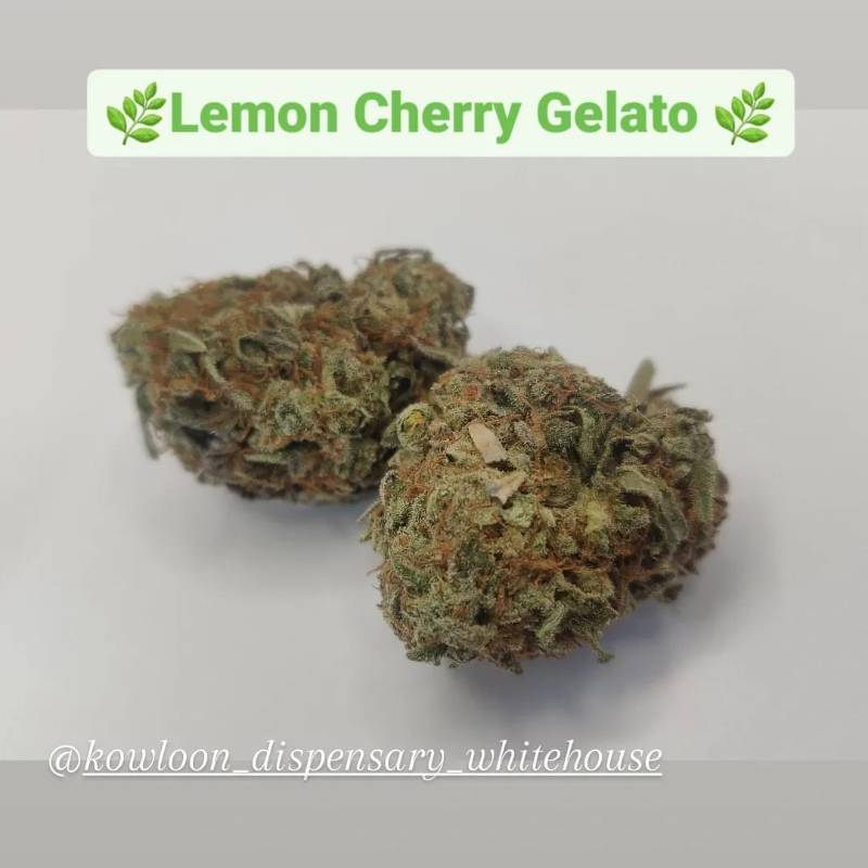 Lemon Cherry Gelato