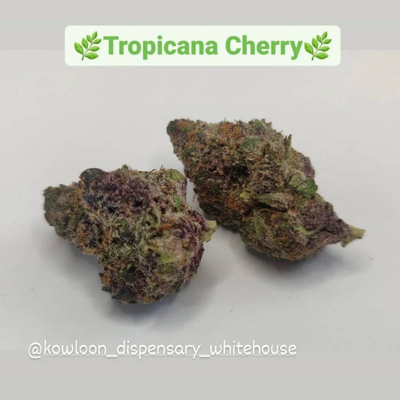 Tropicana Cherry