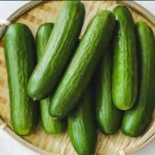 Timun Sayur