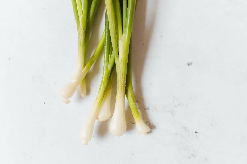 Spring Onion