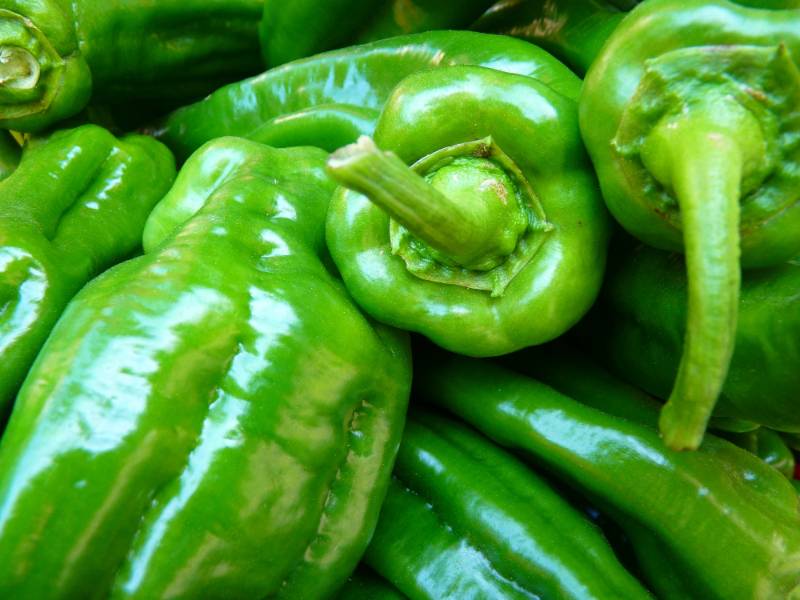 Green pepper