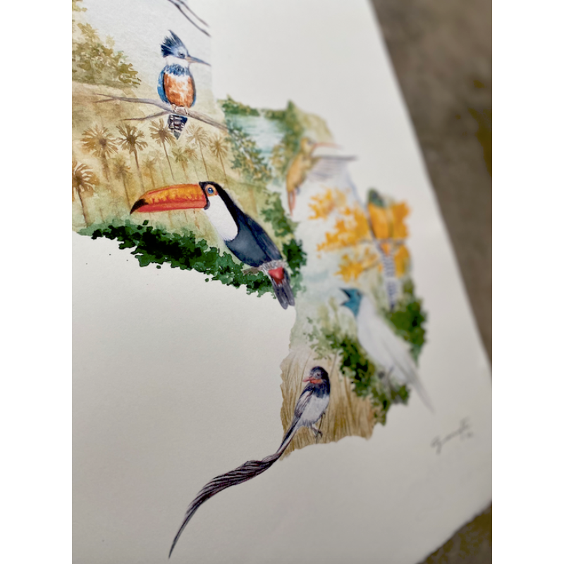 Aves del Paraguay 15x21