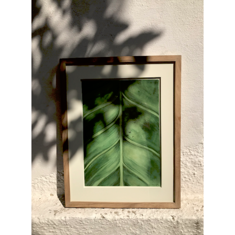 Somos Naturaleza