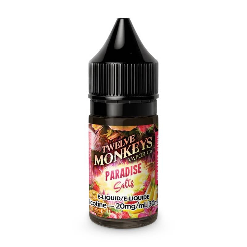 TWELVE MONKEY CIRCLE OF LIFE SALT NIC 30 ML