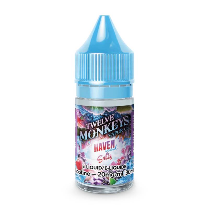 TWELVE MONKEY HAVEN SALT NIC ICE 30 ML