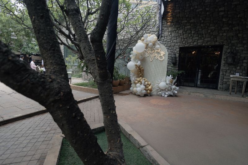 4 premium presets for photoshoot