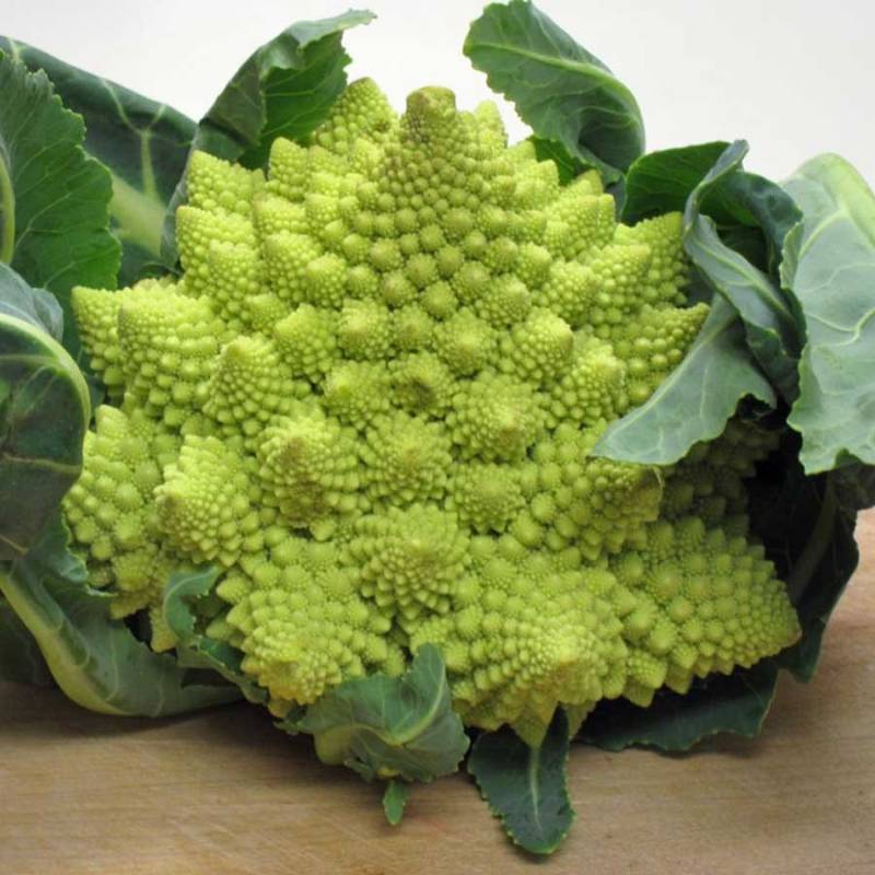 Brócoli Romanesco